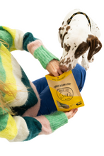 Load image into Gallery viewer, Turmeric Bison Jerky Dog Treats
