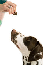 Load image into Gallery viewer, Turmeric Bison Jerky Dog Treats