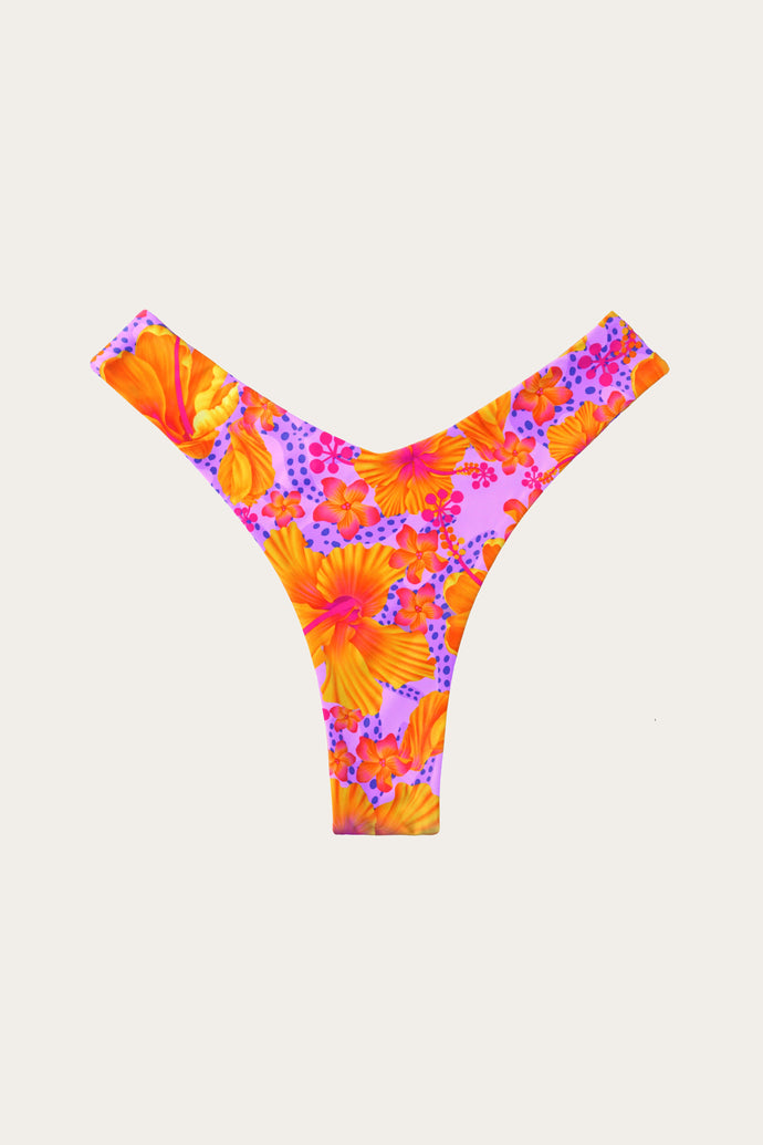 Hibiscus Capri Bottom