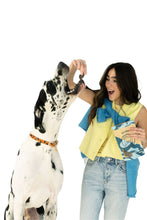Load image into Gallery viewer, Elk Jerky Dog Treats