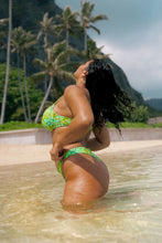 Load image into Gallery viewer, Kiwi Capri Bottom